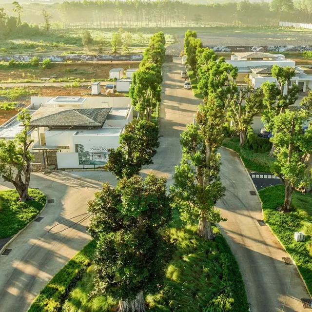 Botanica Green Boulevard — 2026-07, Банг Тао и Лагуна, Пхукет