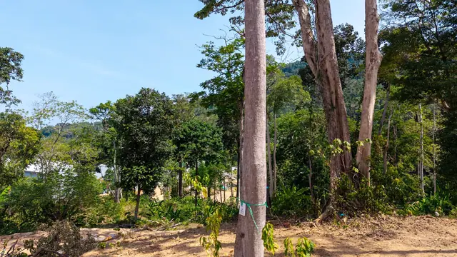 Botanica Montazure — Вид с участка на побережье, Камала и Сурин, Пхукет