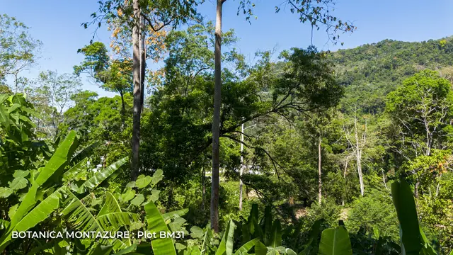 Botanica Montazure — Участок BM30 — вид с места, Камала и Сурин, Пхукет