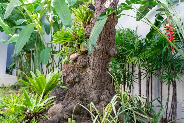 Botanica Skyport — Шоурум · снаружи, Най Янг и Май Као, Пхукет