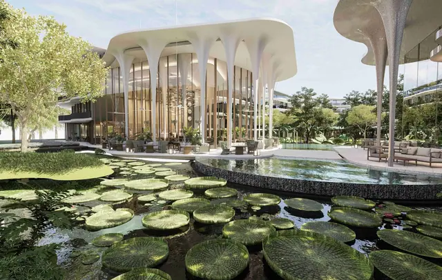 Garrya Residences — Пруд с лотосами у ресторана отеля, Банг Тао и Лагуна, Пхукет