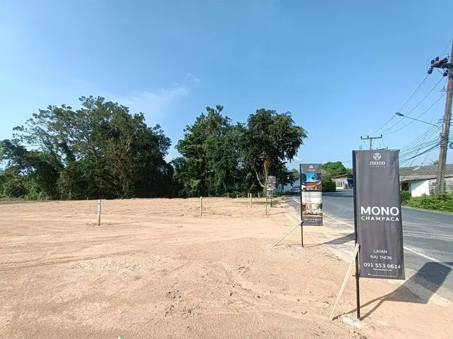 Mono Champaca — 2024-01, Банг Тао и Лагуна, Пхукет