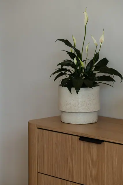Mouana Residence KO KAEO — Шоурум, Ко Кео, Пхукет