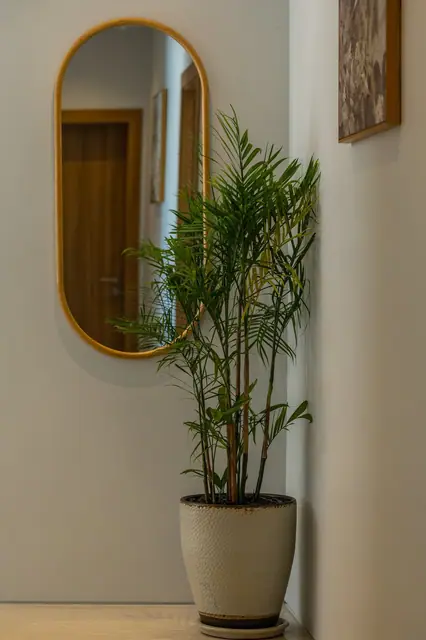 Mouana Residence KO KAEO — Шоурум, Ко Кео, Пхукет