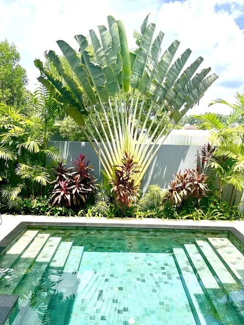 Riverhouse Phuket — Растения у бассейна, Банг Тао и Лагуна, Пхукет
