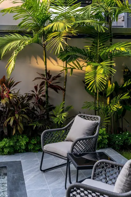 Riverhouse Phuket — Кресла у стены с пальмами, Банг Тао и Лагуна, Пхукет