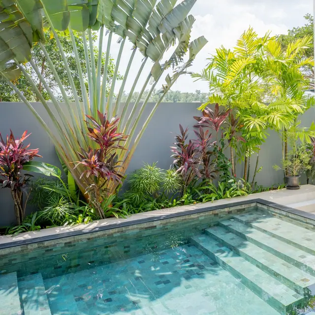 Riverhouse Phuket — Бассейн и растения, Банг Тао и Лагуна, Пхукет