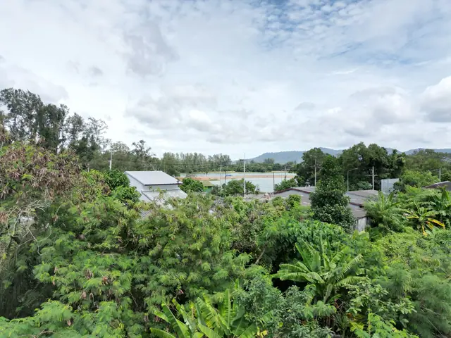 Sun Hills Lakeside Phuket — Тропическая зелень вокруг участка, Банг Тао и Лагуна, Пхукет