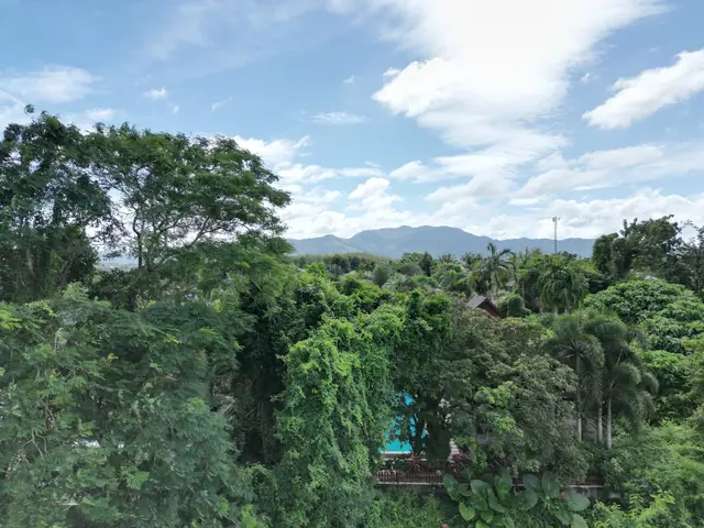 Sun Hills Lakeside Phuket — Зелёный склон рядом с участком, Банг Тао и Лагуна, Пхукет